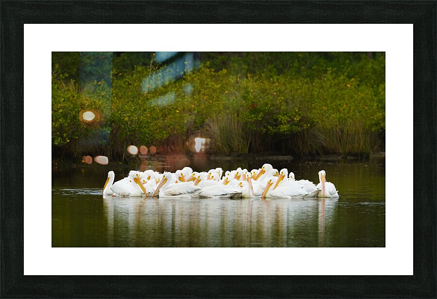 Stronger together Picture Frame print