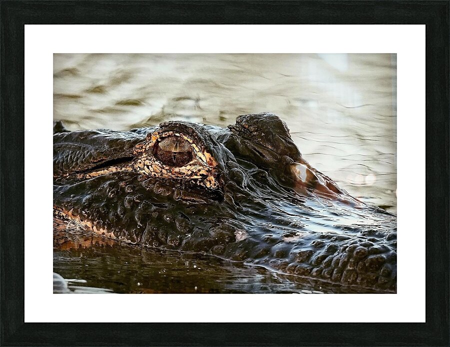 Mesmerizing  Picture Frame print