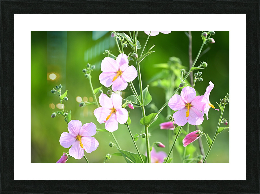 flowers425 Picture Frame print