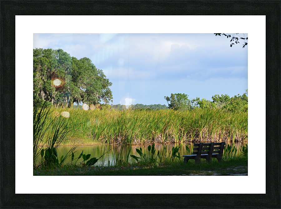 DSC 0731 Picture Frame print