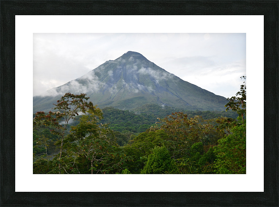 DSC 5007 Picture Frame print