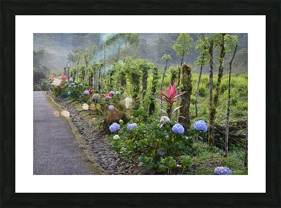 DSC 5077 Picture Frame print