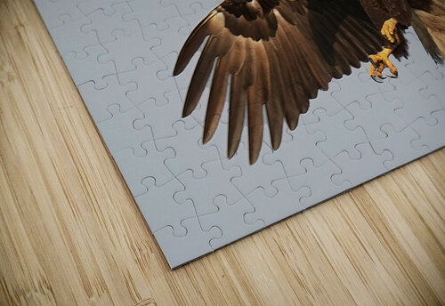 bald328243 Georgia Pavilonyte Trivett puzzle