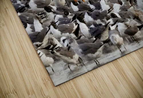 Standing Out Georgia Pavilonyte Trivett puzzle