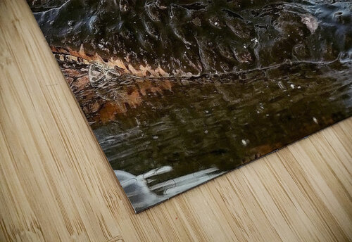 Mesmerizing  Georgia Pavilonyte Trivett puzzle