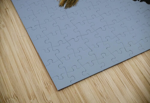 Bald Eagle Flight Georgia Pavilonyte Trivett puzzle