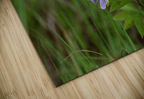 WildFlowerPurple Georgia Pavilonyte Trivett puzzle