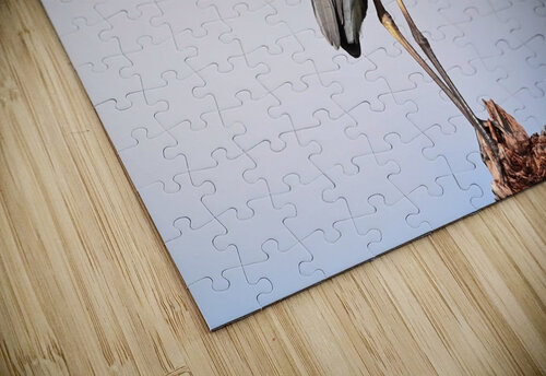 GreatBlueHeron Georgia Pavilonyte Trivett puzzle