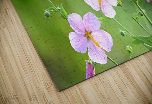 flowers425 Georgia Pavilonyte Trivett puzzle