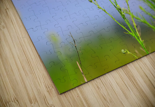 butf2 Georgia Pavilonyte Trivett puzzle