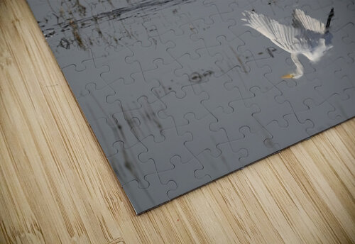 WhiteEgretWaterReflection Georgia Pavilonyte Trivett puzzle