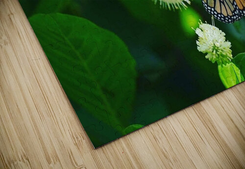 ButterflyButtonBush2 Georgia Pavilonyte Trivett puzzle