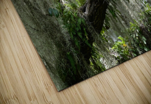 treefern Georgia Pavilonyte Trivett puzzle