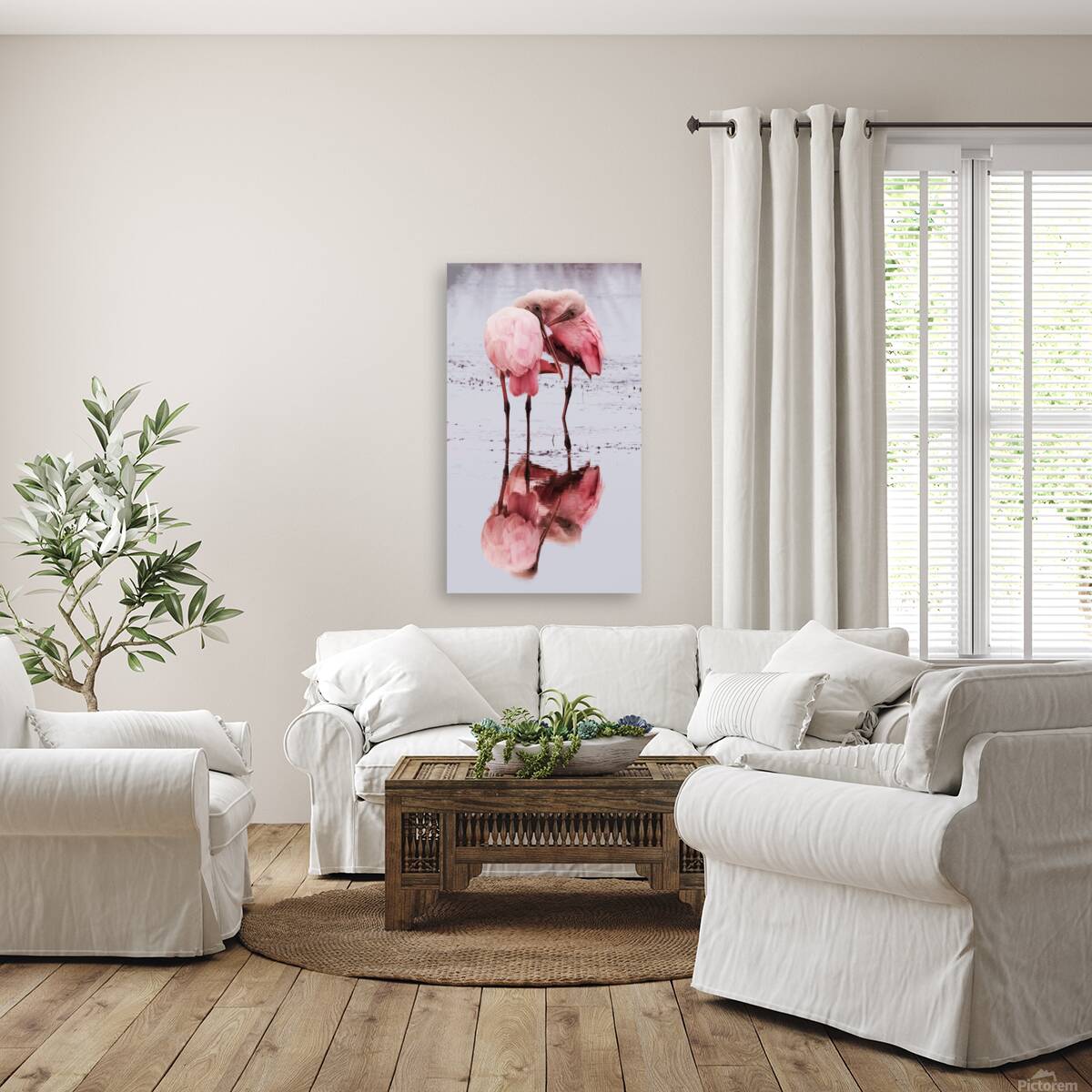 Spoonbills Reproduction