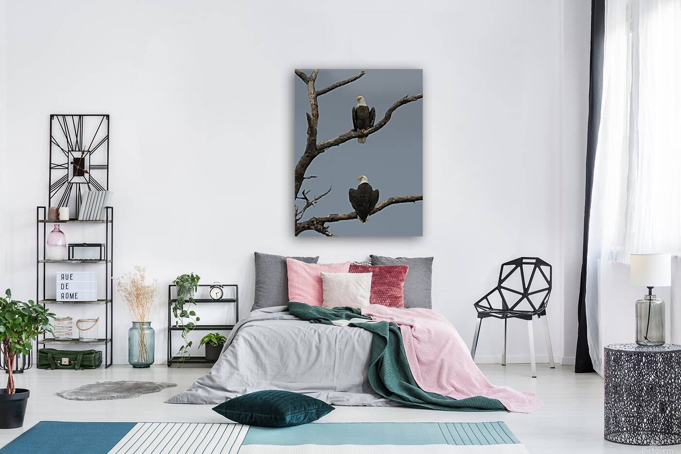 Bald Eagles Couple Reproduction