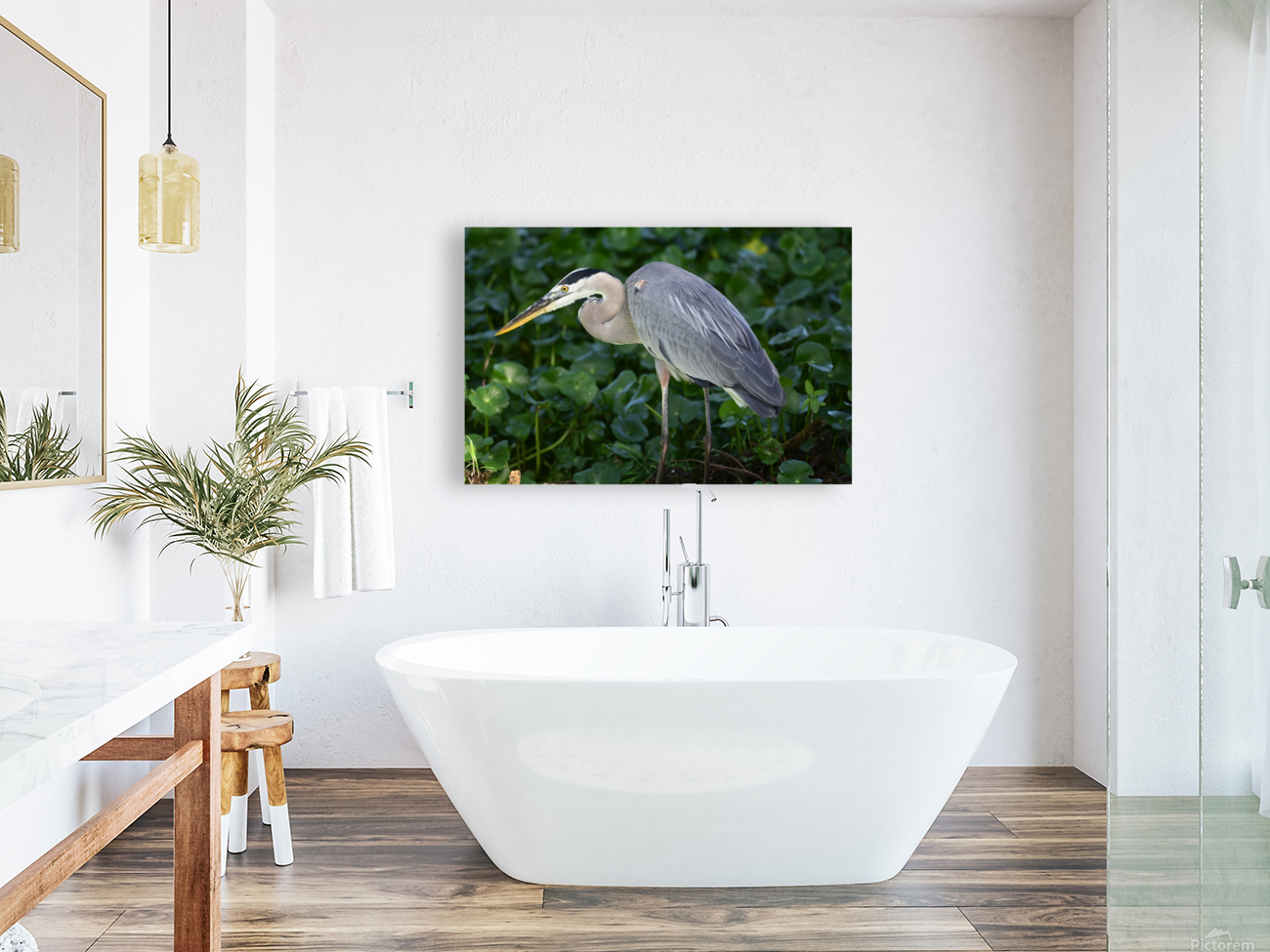 greatblueheronlarge Reproduction