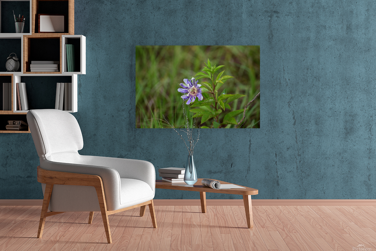 WildFlowerPurple Reproduction