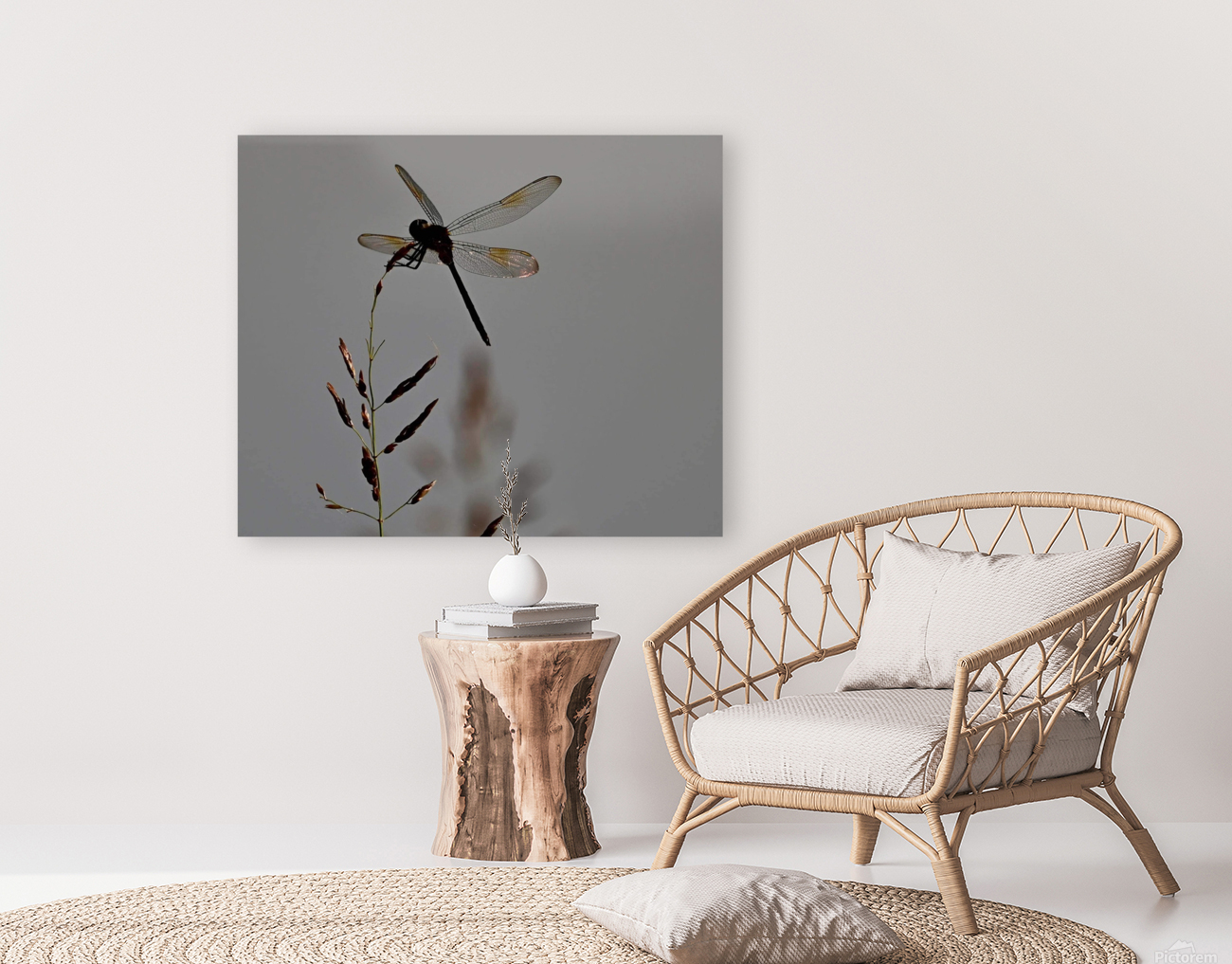 dragonfly Reproduction