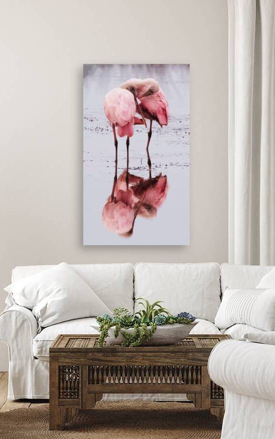 Spoonbills by Georgia Pavilonyte Trivett