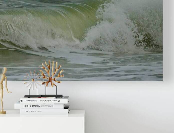 Waves Reproduction