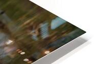 WhiteEgretWaterReflection HD Metal print