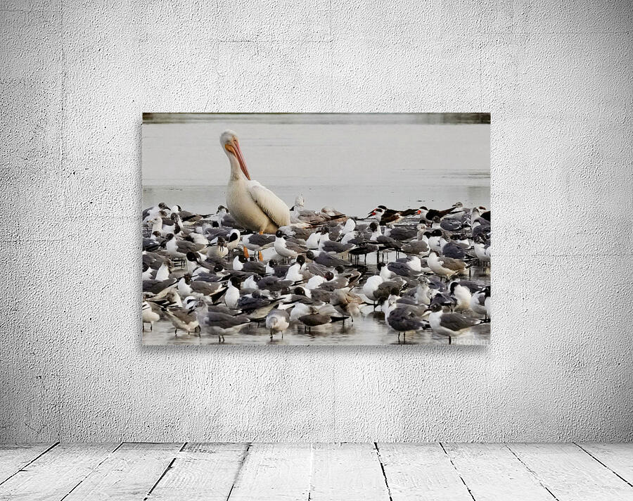 Standing Out Wall Preview