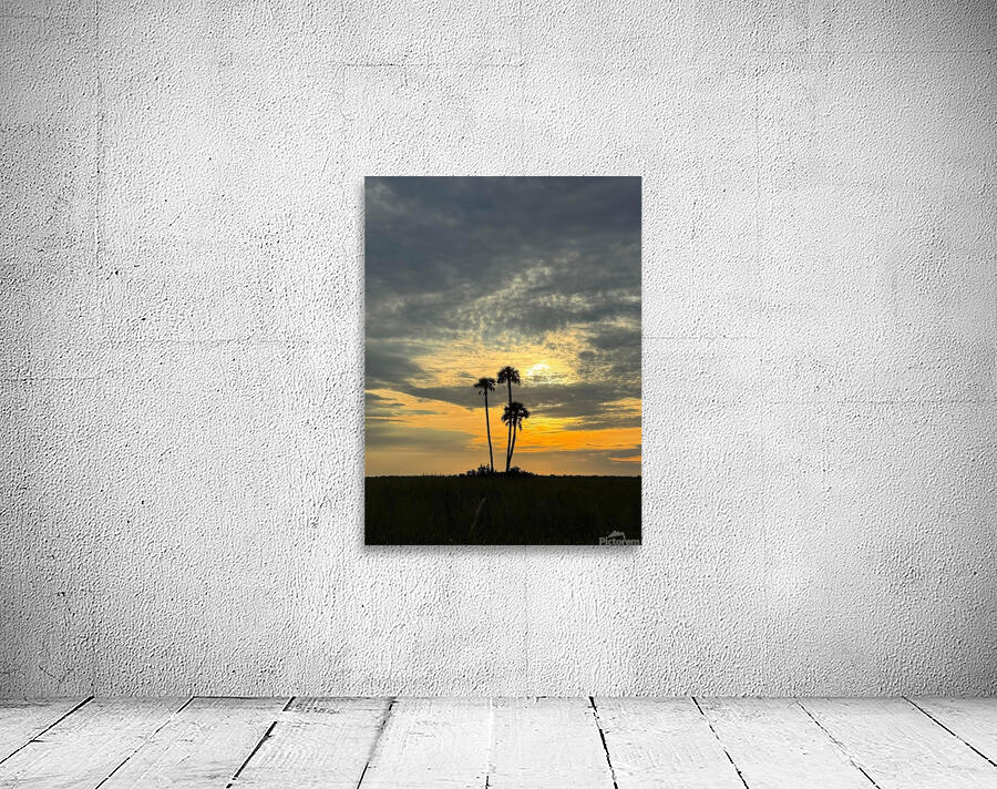 Florida Evening Wall Preview