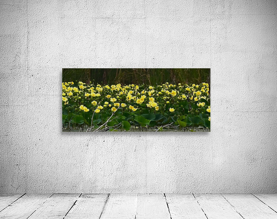 Yellow Flowers Wall Preview