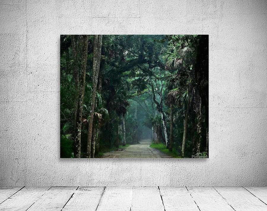 Old Florida Wall Preview