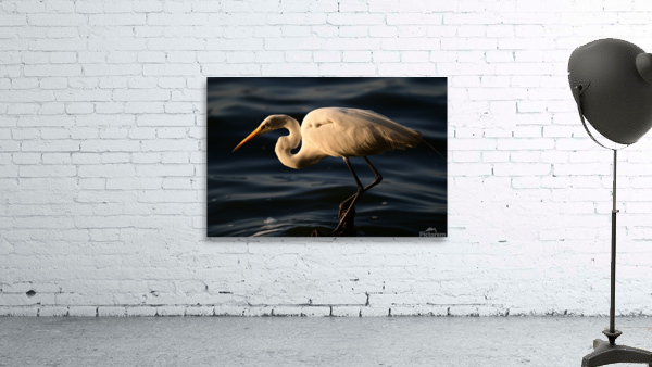 White Heron Wall Preview