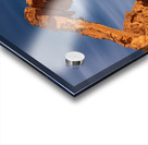 Charging Elephant Acrylic print