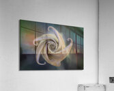 Natures Pinwheel Acrylic Print