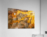 Bacterial Delta Acrylic Print