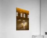 Stalactite Falls Acrylic Print
