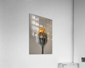 Fresh Bud Acrylic Print