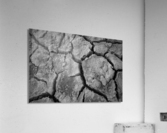 Cracked Earth Acrylic Print
