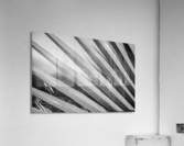 Dramatic Palm Acrylic Print