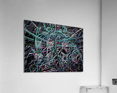 Cactus Confusion Acrylic Print