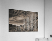 Saguaro Clouds Acrylic Print