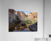 Oasis Reflection Acrylic Print