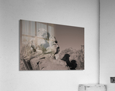 Atlal Rock Face Acrylic Print