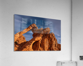 Charging Elephant Acrylic Print