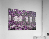 Urchin Reflections Acrylic Print