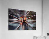 Spiraling Spines Acrylic Print