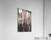 Ghostly Figures Acrylic Print