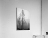Limited Sight Acrylic Print