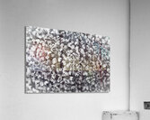 Flower Vision Acrylic Print