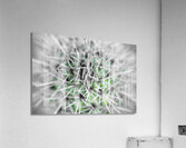 Protect The Green Acrylic Print