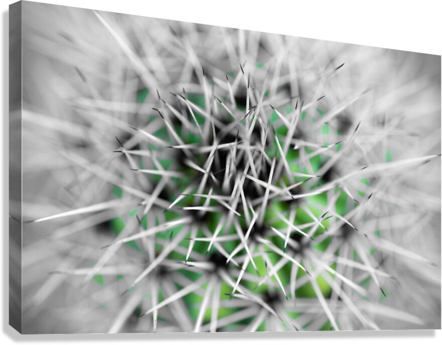Protect The Green Canvas Print