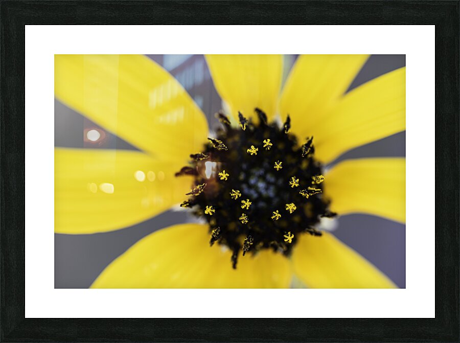 Seeing Stars Picture Frame print